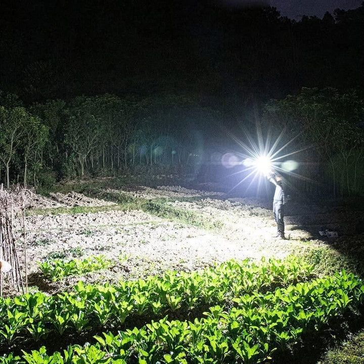 Portable LED Torch with Power Bank