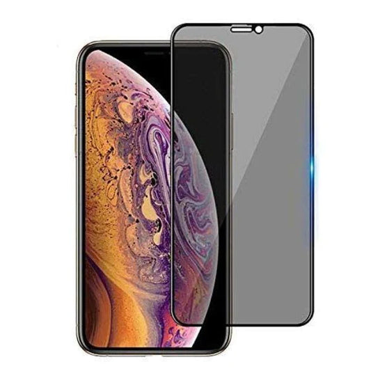 Apple iPhone X/XS Privacy Tempered Glass